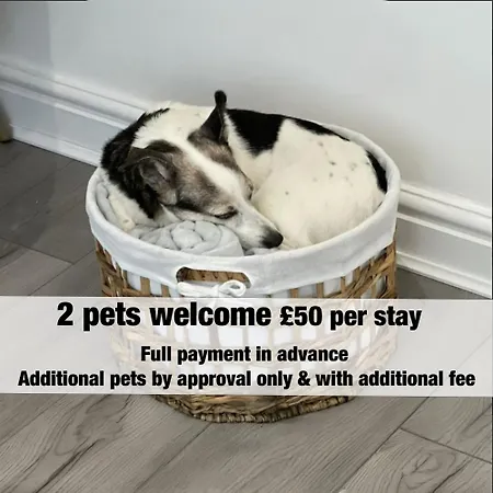 Stella's Cottage- Cute Traditional In South West By Stae-homes Bristol