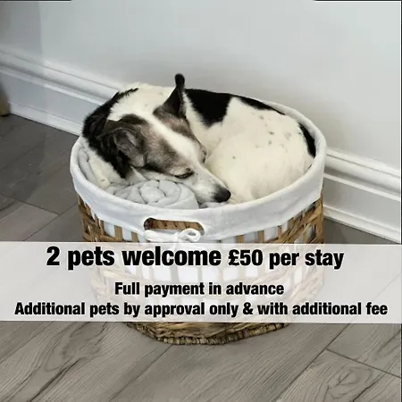 Stella's Cottage- Cute Traditional In South West By Stae-homes Holiday home